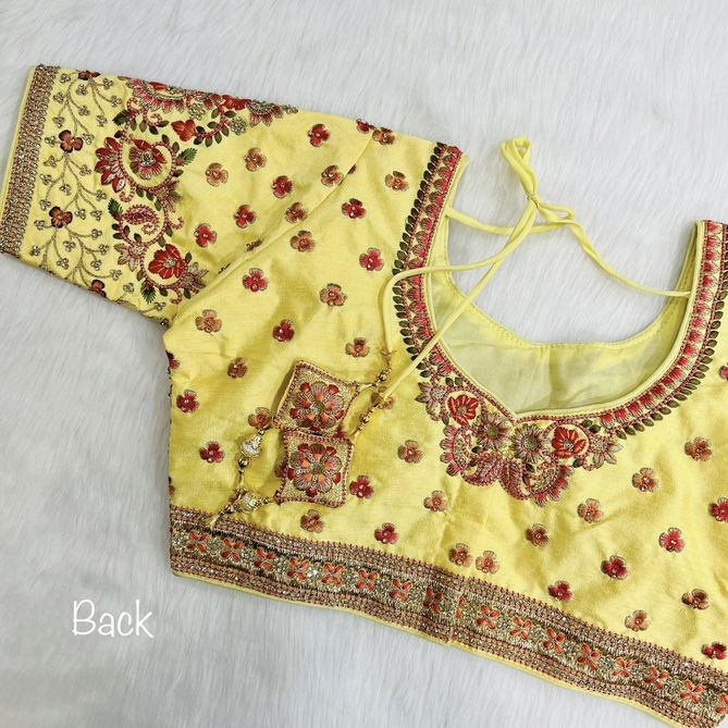 Ruhi Fashion Tanya 2 Fancy Festive Wear Wholesale Blouse